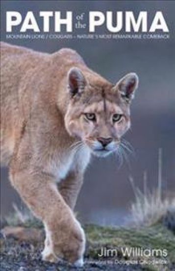 Path of the Puma