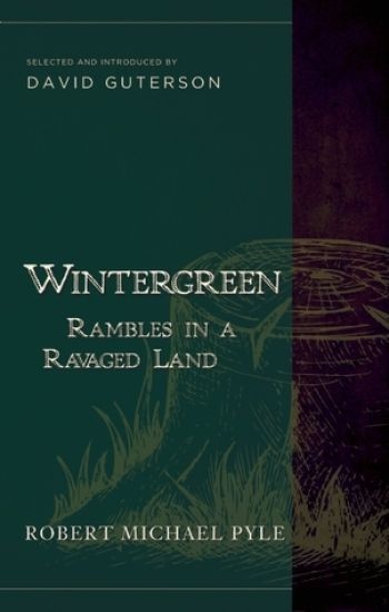 Wintergreen