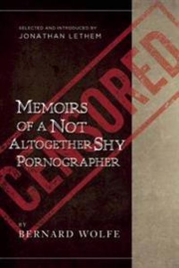 Memoirs Of A Not Altogether Shy Pornographer