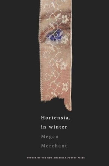 Hortensia, in winter