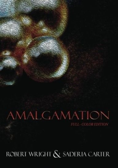 Amalgamation: (Full Color edition)
