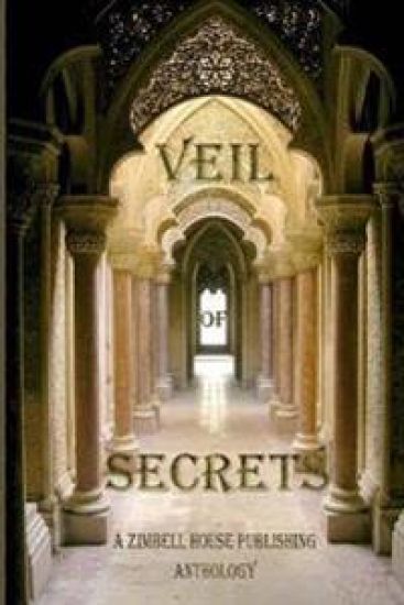 Veil of Secrets