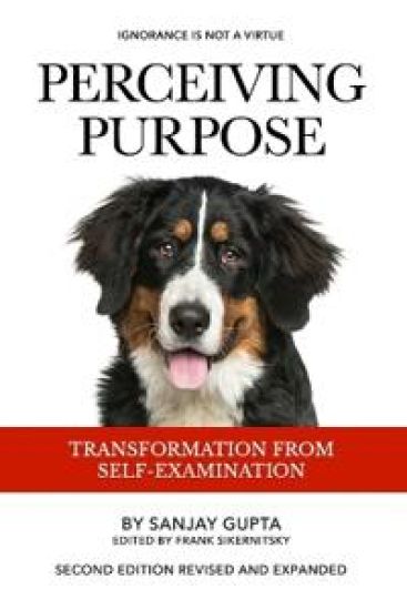 Perceiving Purpose