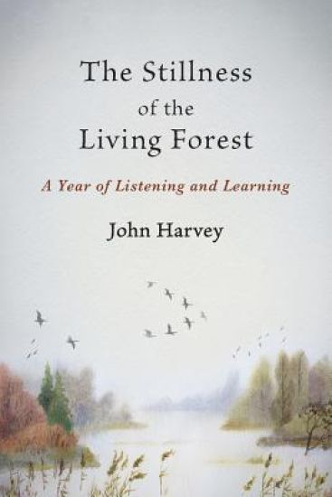 The Stillness of the Living Forest