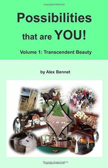 Possibilities That Are You!: Volume 1: Transcendent Beauty