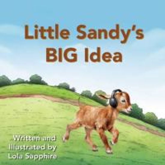 Little Sandy's BIG Idea