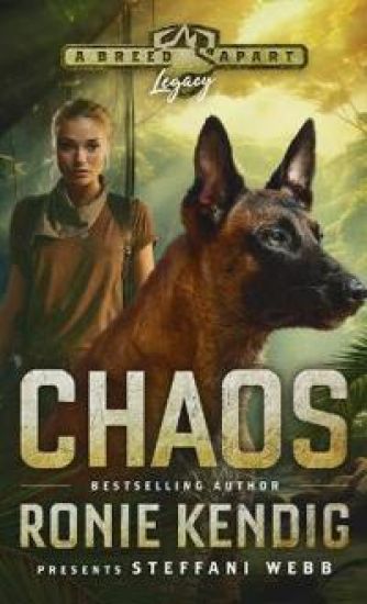 Chaos