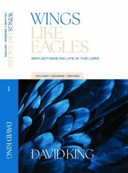 Wings Like Eagles Vol 1