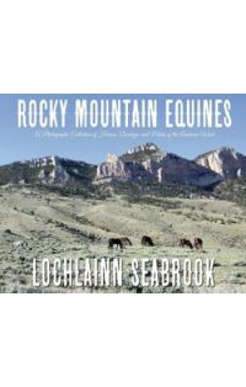 Rocky Mountain Equines