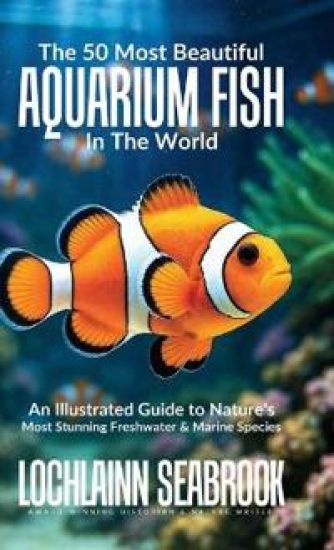 The 50 Most Beautiful Aquarium Fish in the World