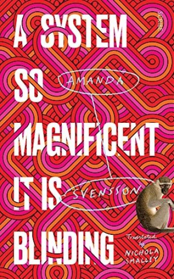 A System So Magnificent It Is Blinding: Longlisted for the International Booker Prize