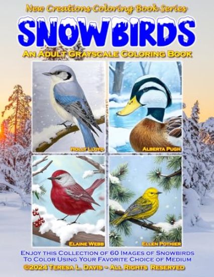 New Creations Coloring Book Series