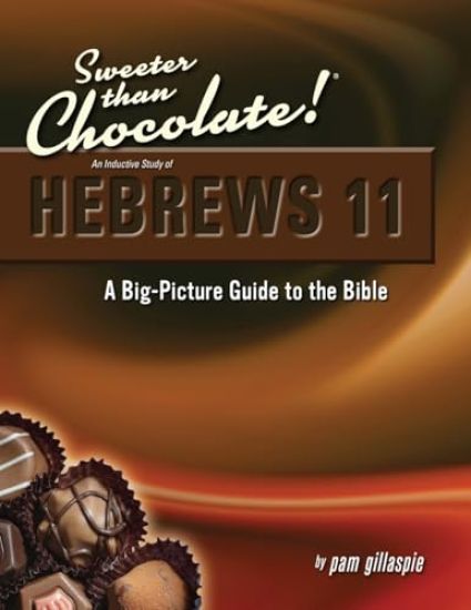 A Big Picture Guide to the Bible: Hebrews 11