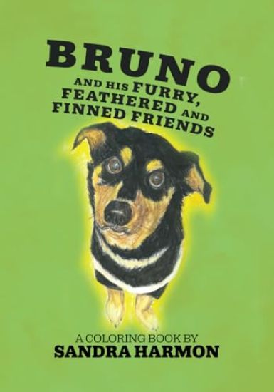 Bruno and His Furry, Feathered, and Finned Friends