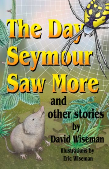 The Day Seymour Saw More and Other Stories