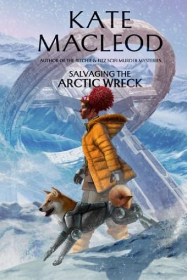Salvaging the Arctic Wreck