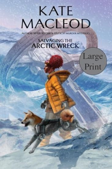 Salvaging the Arctic Wreck