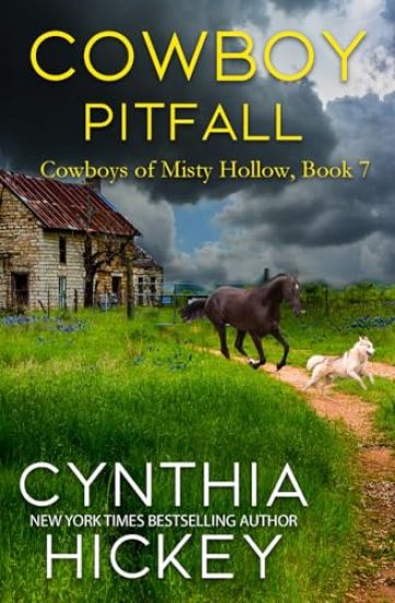 Cowboy Pitfall