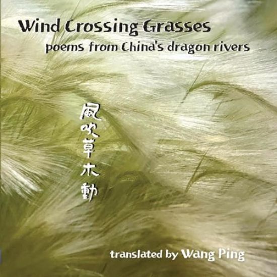 Wind Crossing Grasses