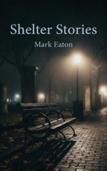 Shelter Stories