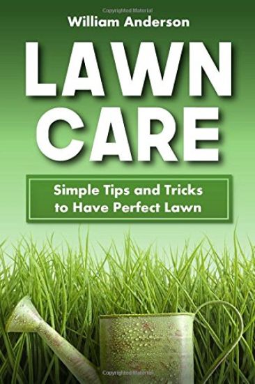 Lawn Care: Simple Tips and Tricks to Have Perfect Lawn