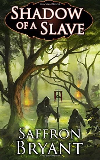 Shadow of a Slave