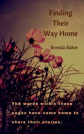 Finding Their Way Home