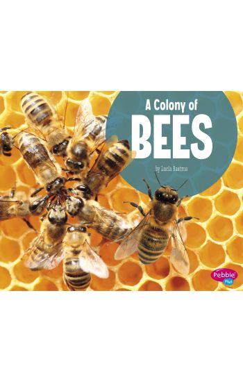 A Colony of Bees