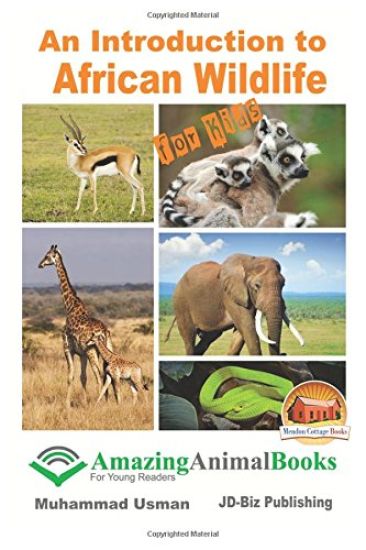 An Introduction to African Wildlife for Kids