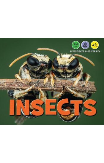 Insects