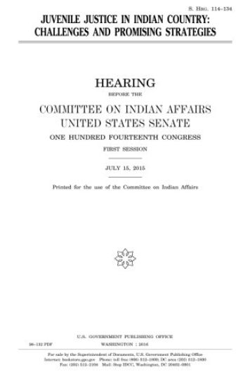 Juvenile justice in Indian country: challenges and promising strategies