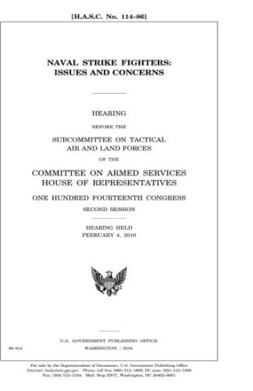 Naval strike fighters: issues and concerns