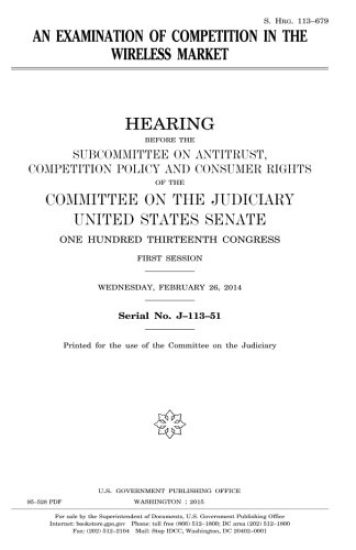 An examination of competition in the wireless market