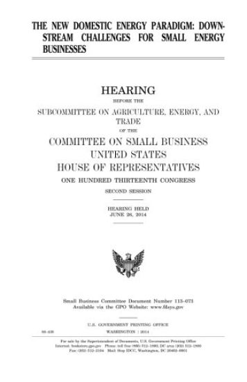The new domestic energy paradigm: downstream challenges for small energy businesses