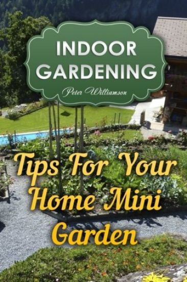 Indoor Gardening: Tips For Your Home Mini Garden