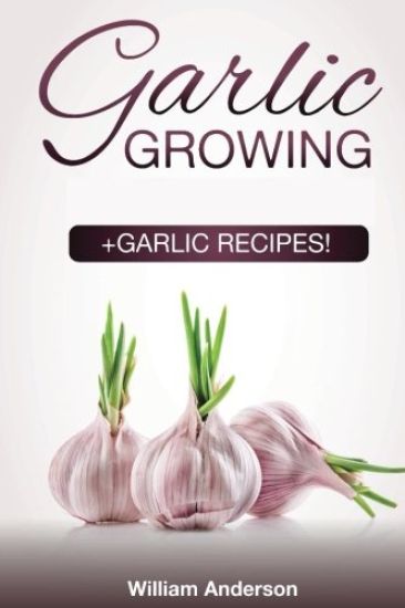 Garlic Growing: +Garlic Recipes!