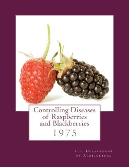 Controlling Diseases of Raspberries and Blackberries