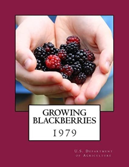 Growing Blackberries – U. S. Department of Agriculture, kirjan kansikuva