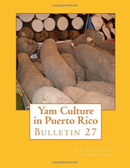 Yam Culture in Puerto Rico: Bulletin 27 – U. S. Department of Agriculture, kirjan kansikuva