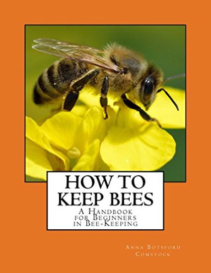 How To Keep Bees: A Handbook for Beginners in Bee-Keeping