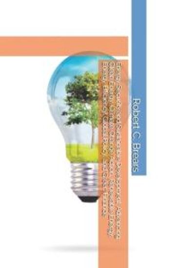 Energy Security and Sustainable Development