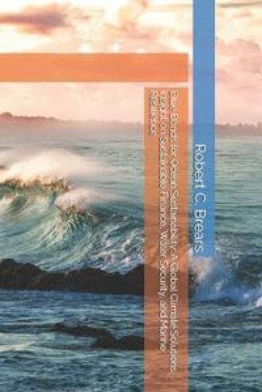 Blue Bonds for Ocean Sustainability
