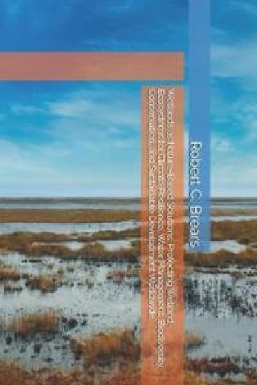 Wetlands as Nature-Based Solutions
