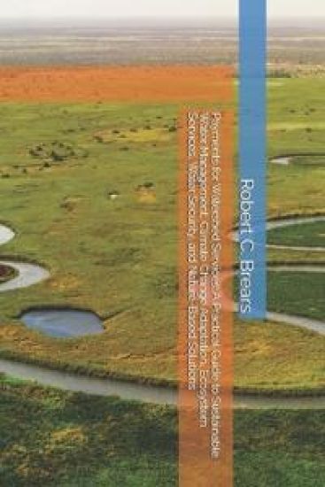 Payments for Watershed Services