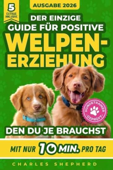 Der Einzige Guide Für Positive Welpenerziehung, Den Du Je Brauchst
