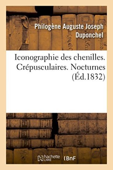 Iconographie Des Chenilles. Histoire Naturelle Des Lépidoptères. Crépusculaires. Nocturnes
