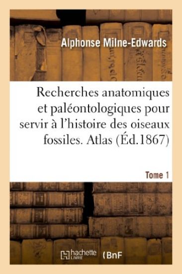 Recherches Anatomiques Et Paléontologiques. Atlas, Tome 1