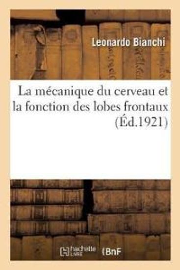 La Mécanique Du Cerveau Et La Fonction Des Lobes Frontaux