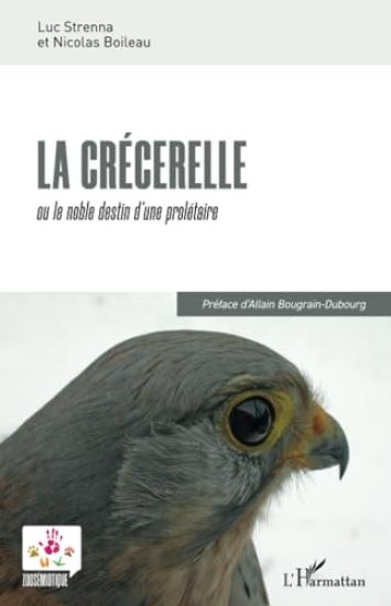 La crécerelle