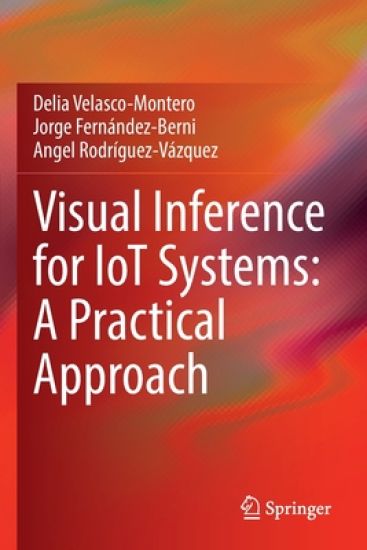 Visual Inference for IoT Systems: A Practical Approach